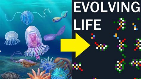 evolution games unblocked|The Life Engine.